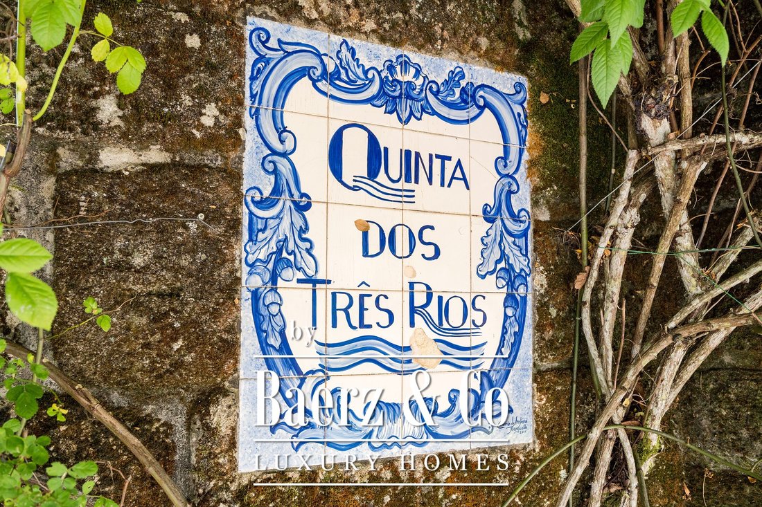 Farm Ranch in Tondela e Nandufe, Viseu District, Portugal 2 - 15476064