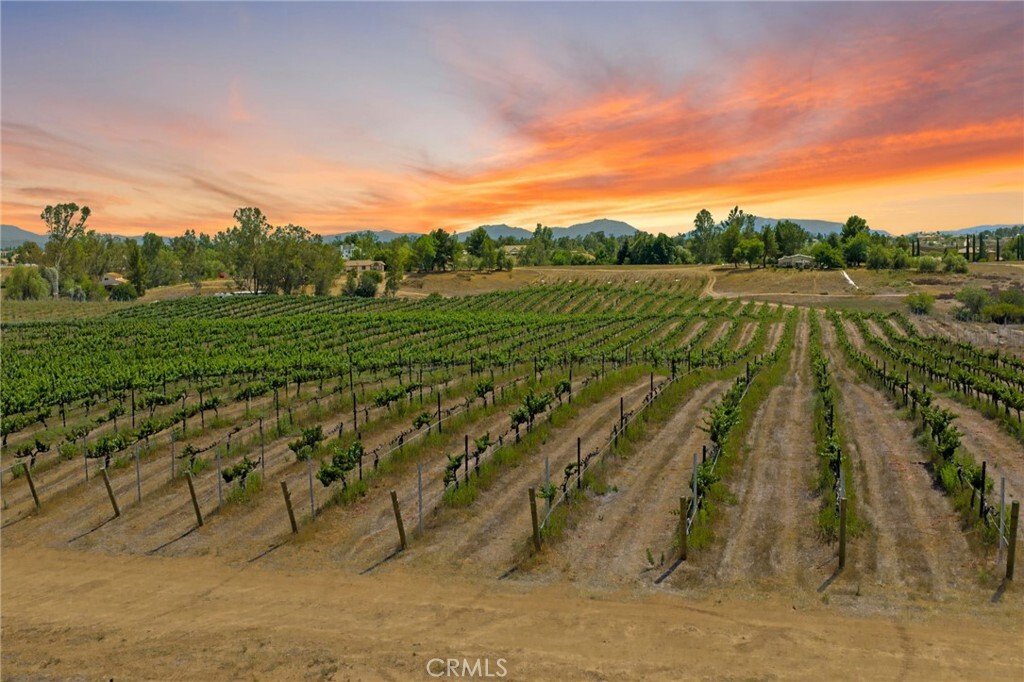 Land in Temecula, California, United States 3 - 17402915