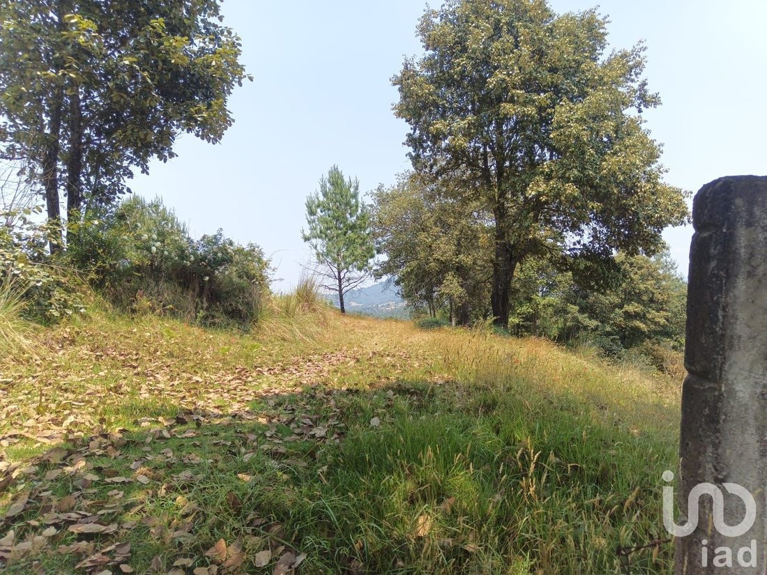 Land in Los Reyes, Hidalgo, Mexico 2 - 18038350