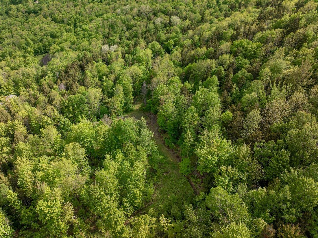 Land in Waterbury, Vermont, United States 3 - 15656776