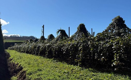 Farm Ranch in Waihi, Waikato, New Zealand 1