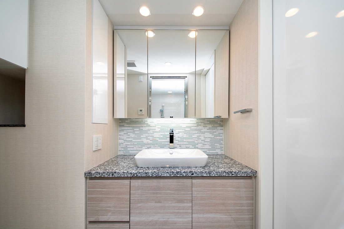Condo in Minato City, Tokyo, Japan 4 - 18039988