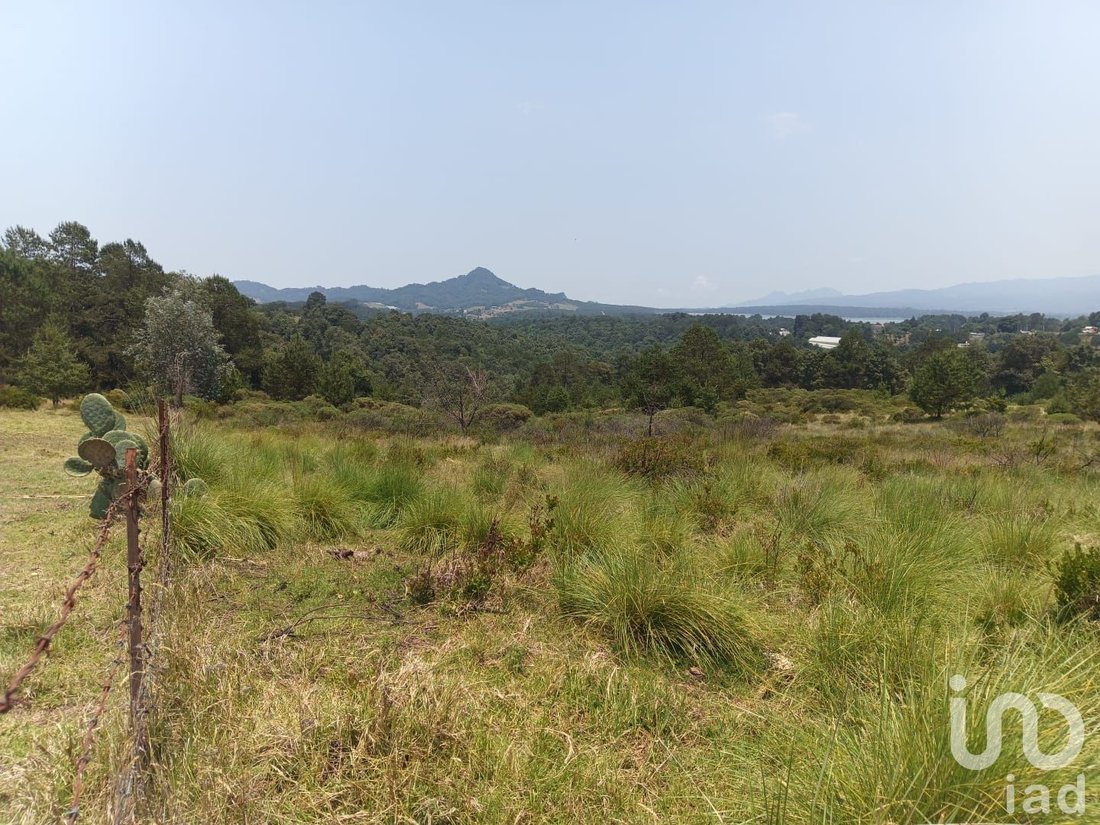Land in Los Reyes, Hidalgo, Mexico 4 - 18038350