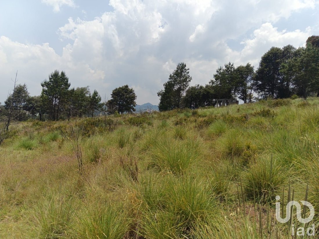 Land in Los Reyes, Hidalgo, Mexico 5 - 18038350