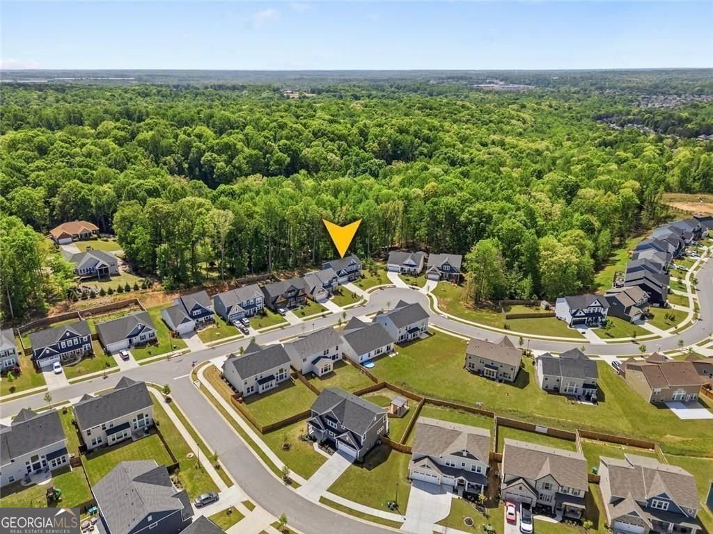 Braselton, Georgia, United States 5 - 17810116