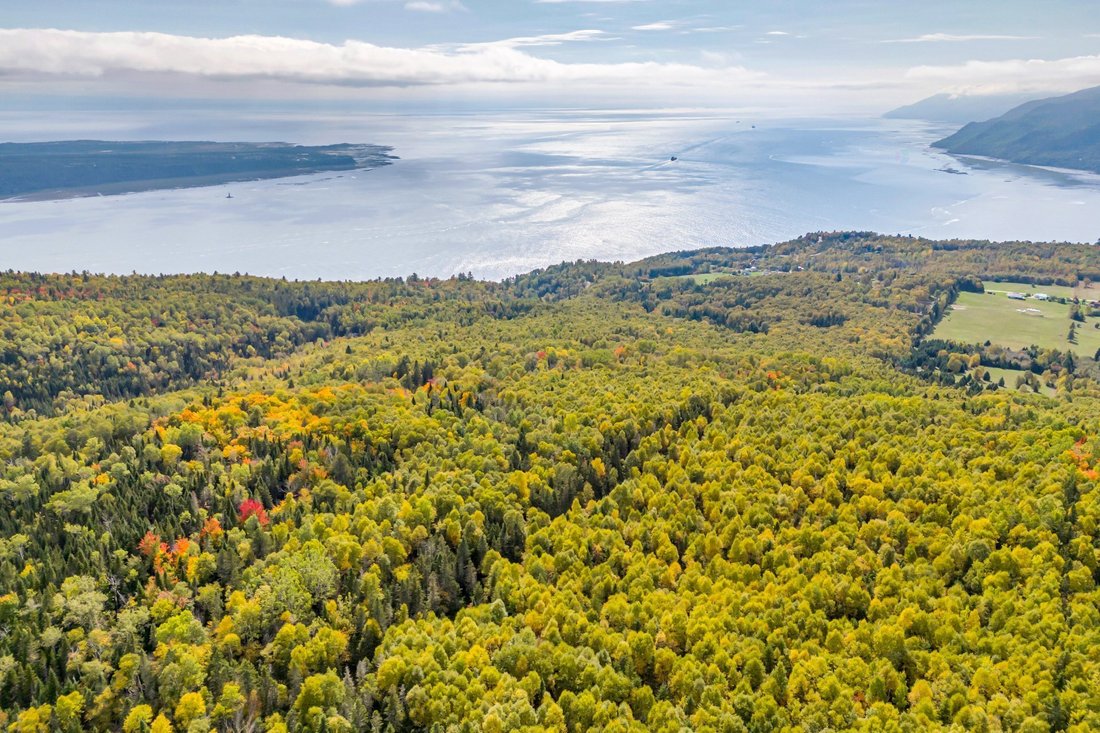 Land in Baie-Saint-Paul, Quebec, Canada 1 - 18042667
