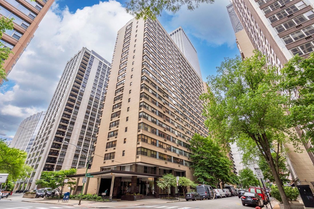 Condo in Chicago, Illinois, United States 1 - 18040740