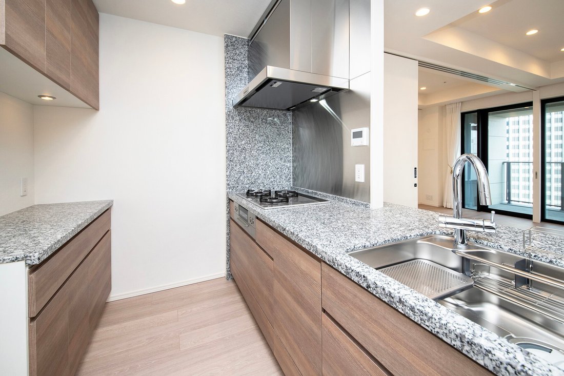 Condo in Minato City, Tokyo, Japan 3 - 18039988