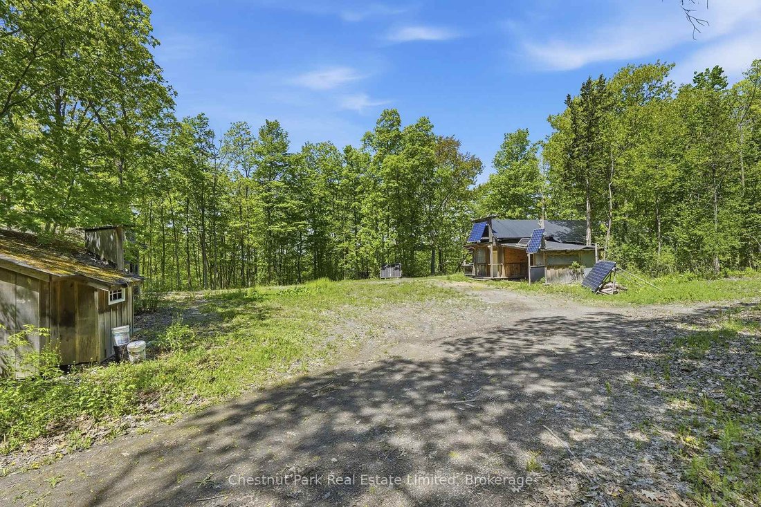 Land in Picton, Ontario, Canada 4 - 17832383