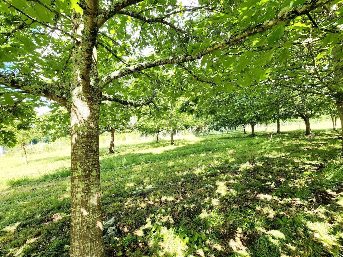 Land in Zone Rurale Nord, Villeneuve-sur-Lot, France 4 - 18050643
