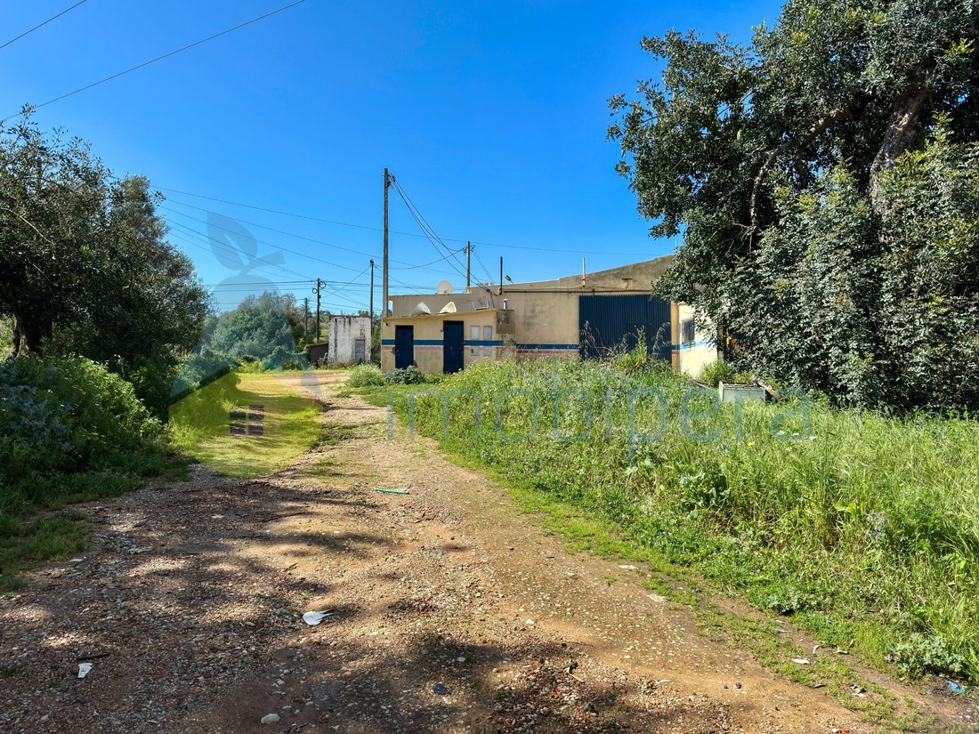 Finca in Algoz e Tunes, Algarve, Portugal 4 - 18038657