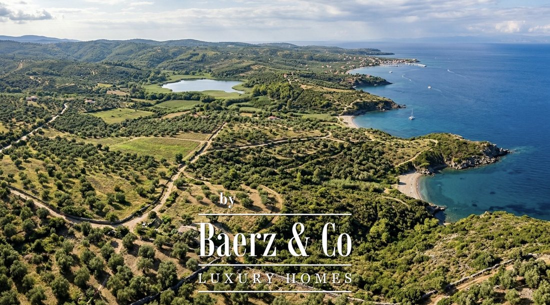 Land in Kymi - Aliveri Anna, Thessaly and Central Greece, Greece 1 - 17520879