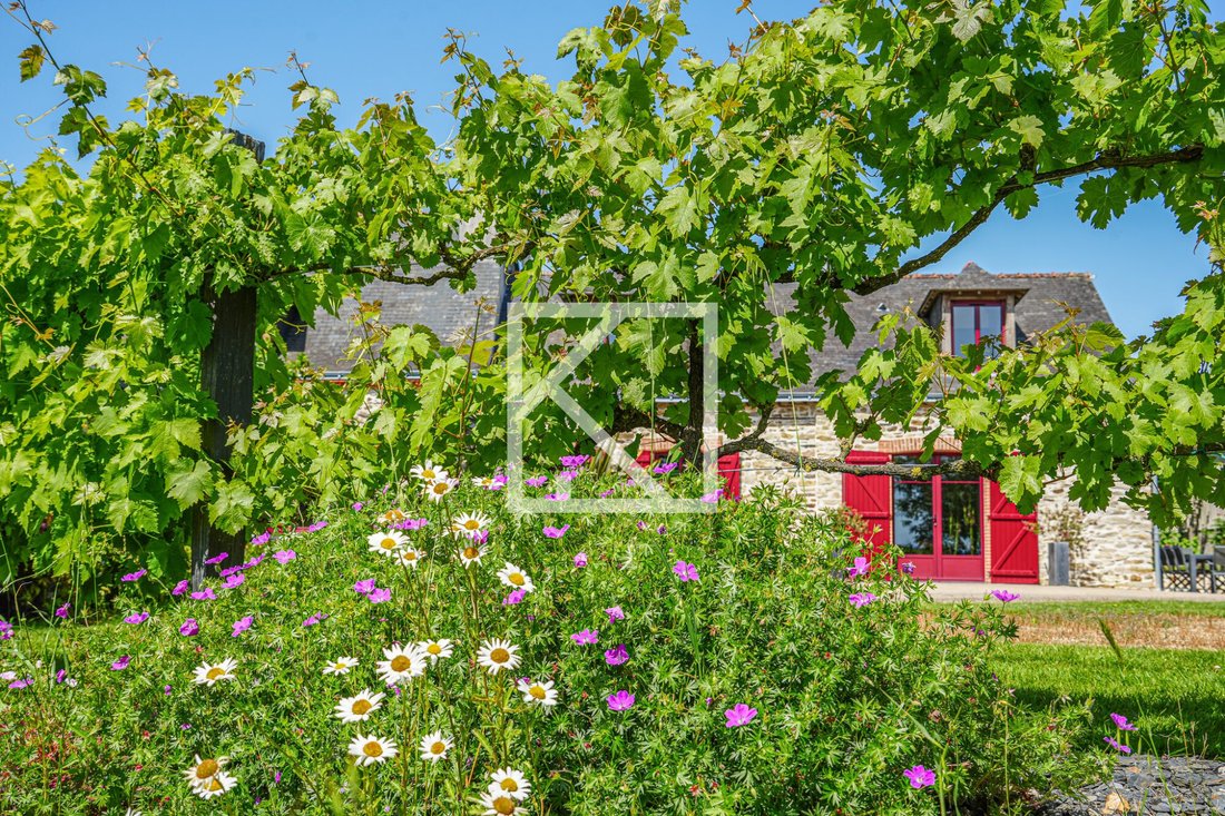 House in Ombree d'Anjou, Pays de la Loire, France 1 - 18043532