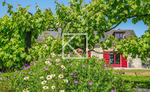 House in Ombree d'Anjou, Pays de la Loire, France 1