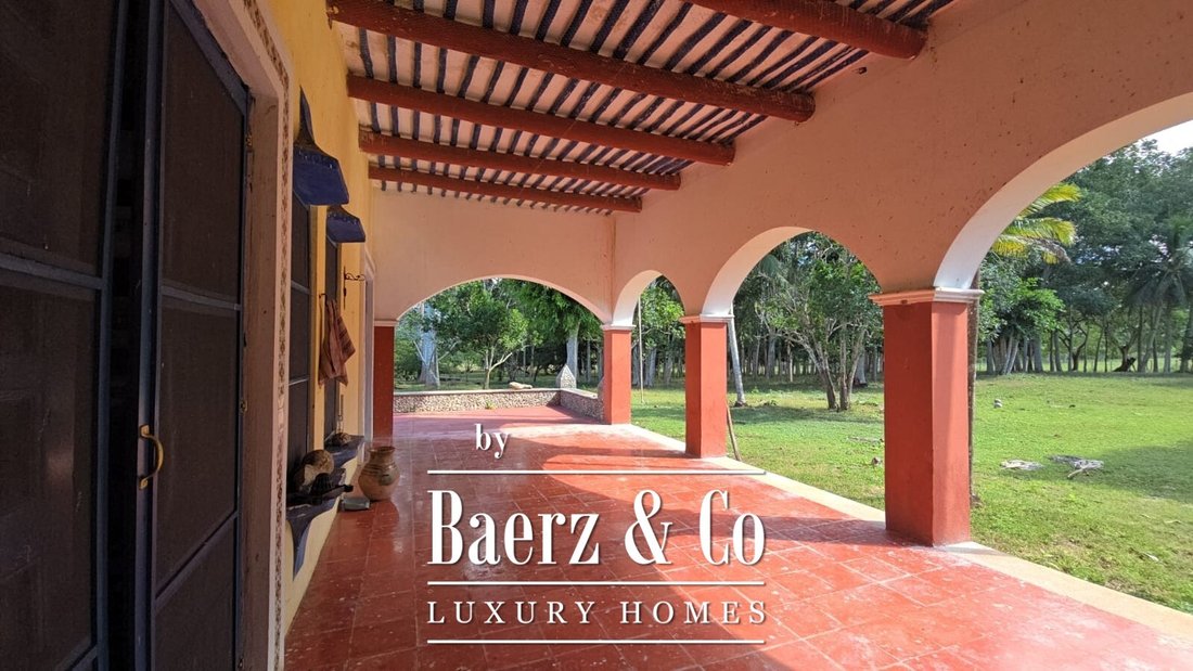 Country House in Santa Catarina Yecahuitzotl, Mexico City, Mexico 4 - 16833232