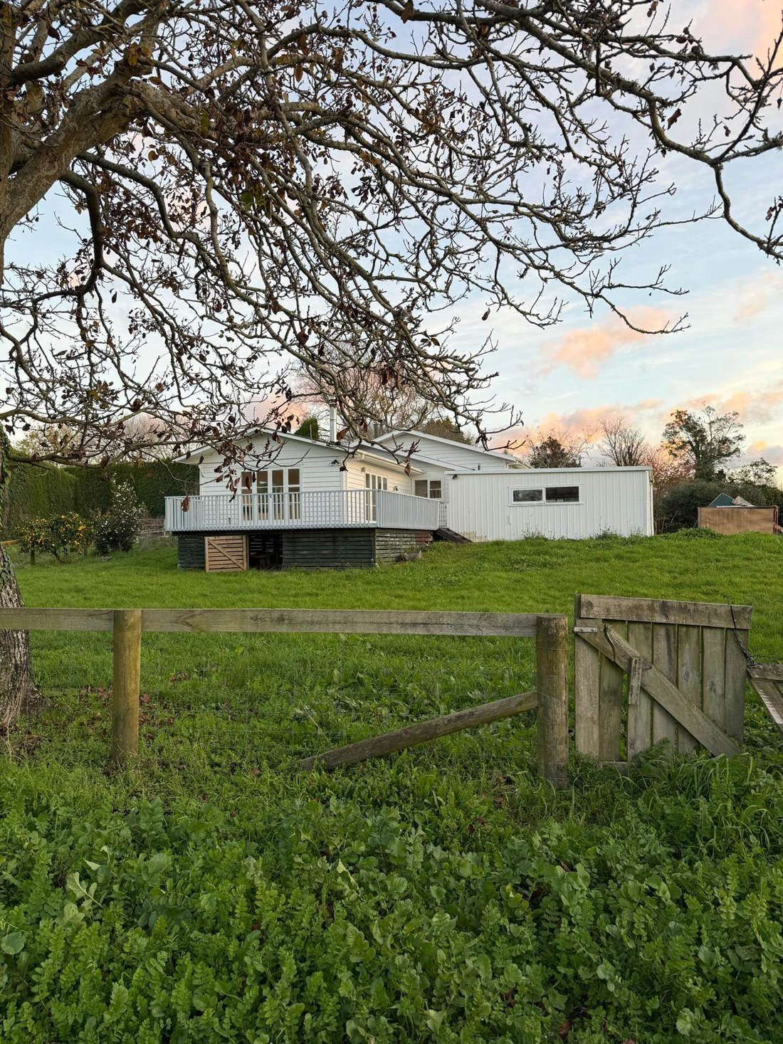 Farm Ranch in Waihi, Waikato, New Zealand 3 - 18049571