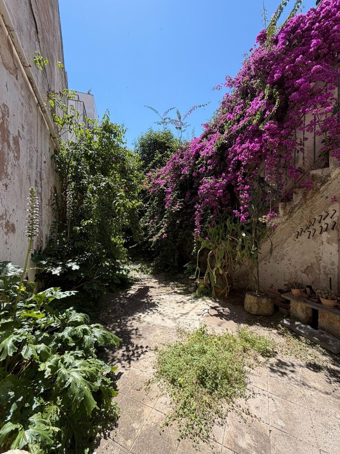 Townhouse in sa Pobla, Balearic Islands, Spain 2 - 18036558