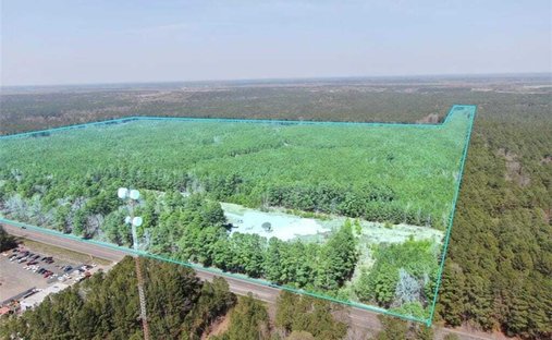 Land in Waverly, Virginia, United States 1