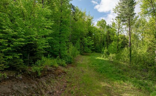 Land in Waterbury, Vermont, United States 1