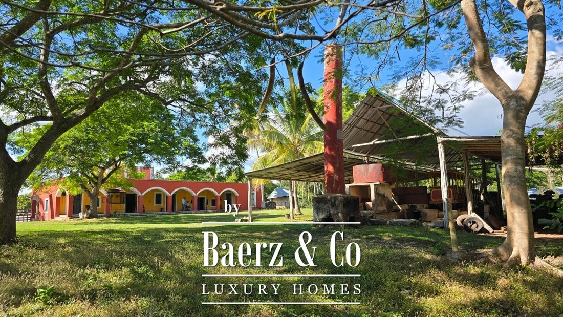 Country House in Santa Catarina Yecahuitzotl, Mexico City, Mexico 1 - 16833232