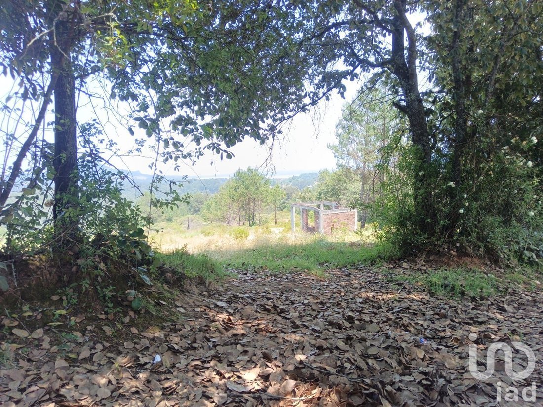 Land in Los Reyes, Hidalgo, Mexico 1 - 18038350