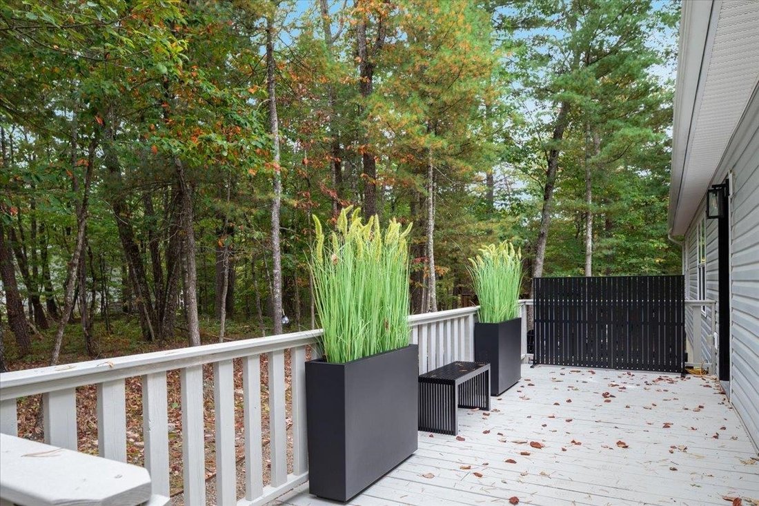 House in Mount Jackson, Virginia, United States 2 - 18040180