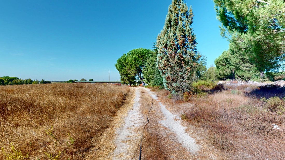 Land in Pegoes, Setubal, Portugal 5 - 17372281