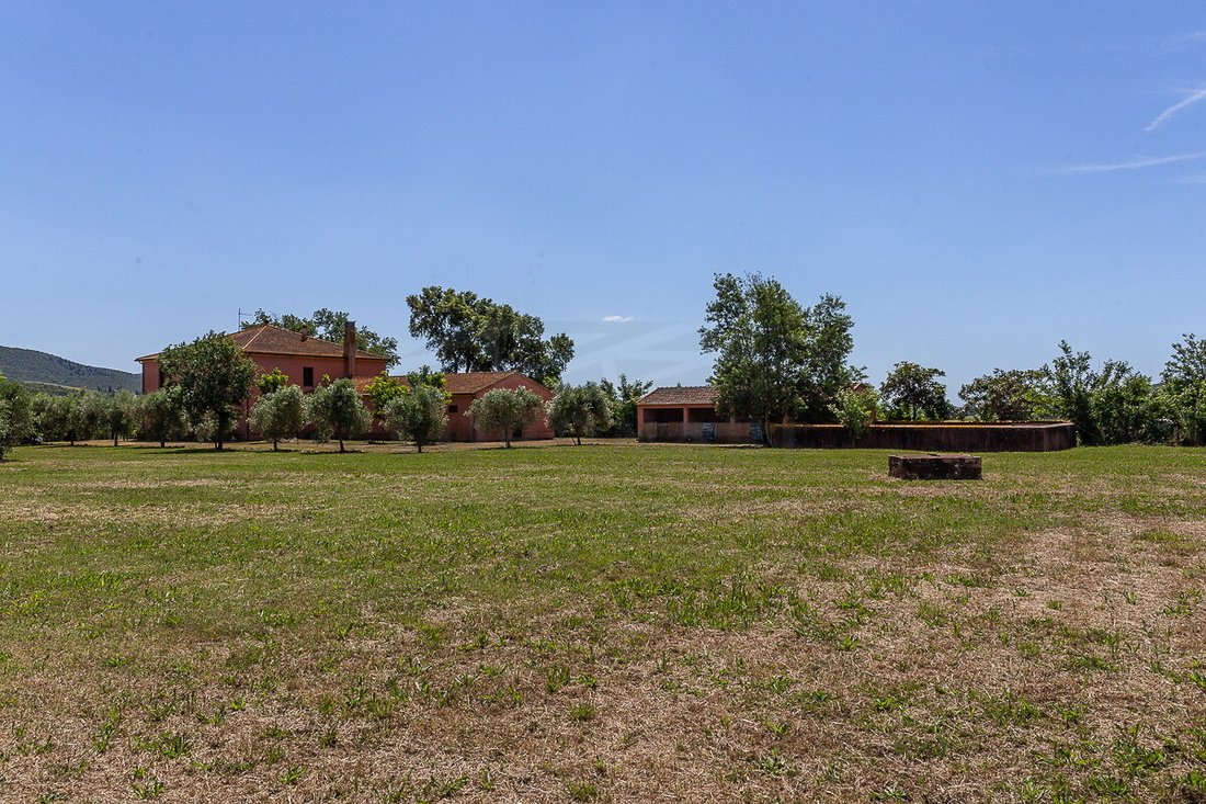 Farm Ranch in Grosseto, Tuscany, Italy 1 - 18034796