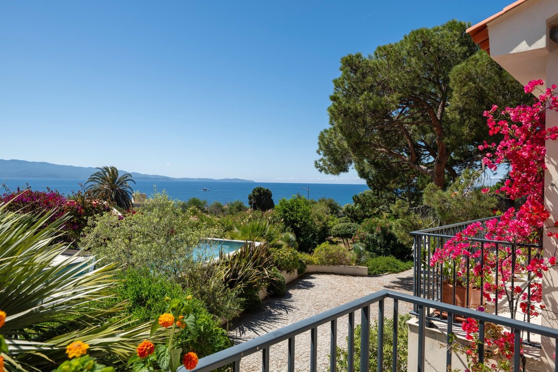 House in Ajaccio, Corsica, France 1 - 18043741