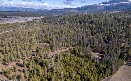 Terrain à Oldtown, Idaho, États-Unis 1