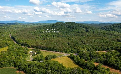 Terreno en Riceville, Tennessee, Estados Unidos 1
