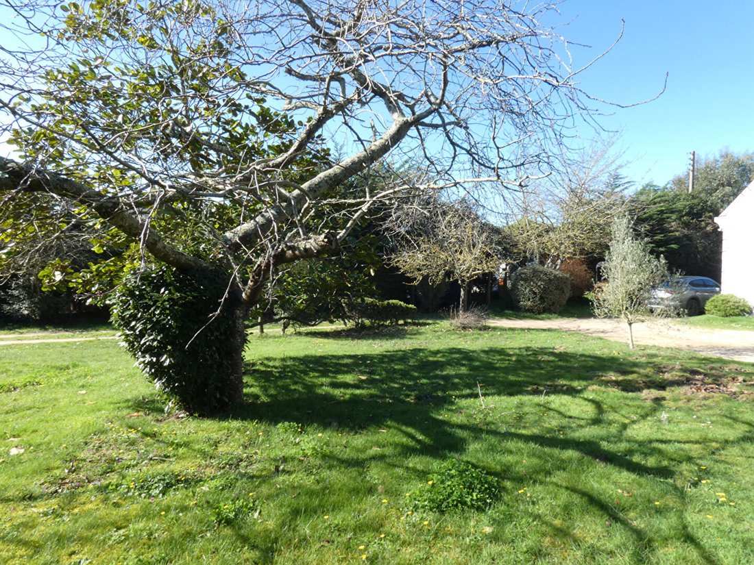 Land in Erquy, Brittany, France 5 - 18045308