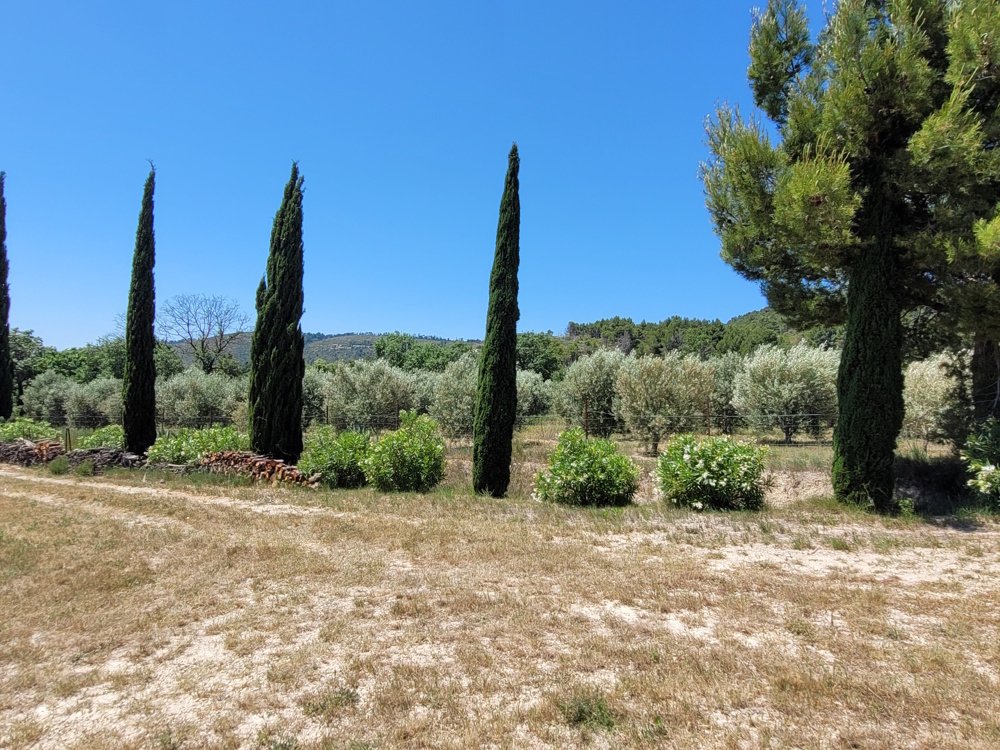 House in Bize-Minervois, Occitania, France 5 - 18038400