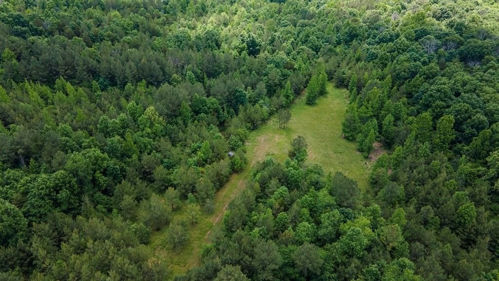 Land in Riceville, Tennessee, United States 5 - 18049540