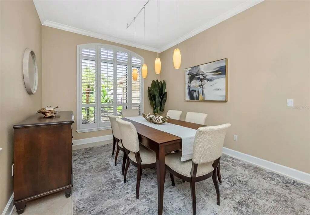 House in Palm Harbor, Florida, United States 5 - 18049384