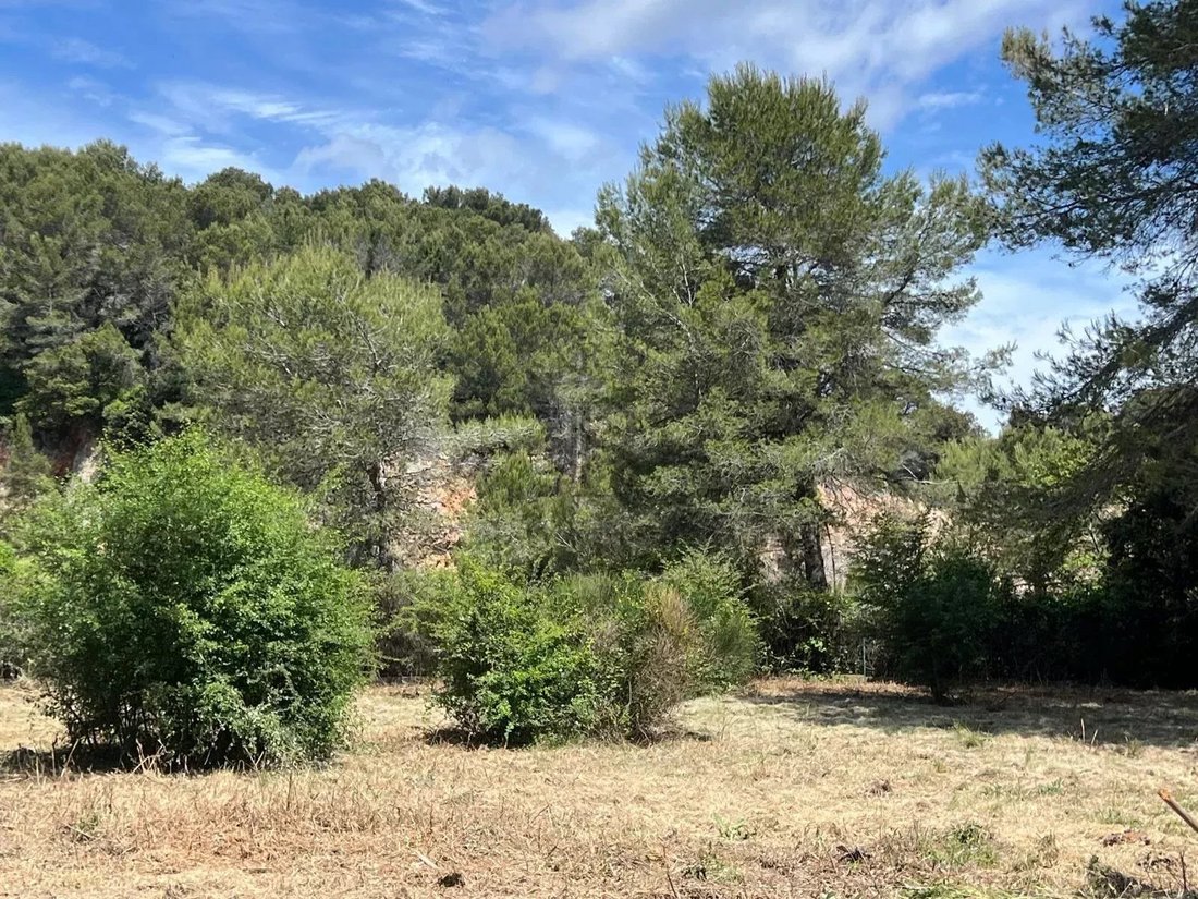 Land in Mougins, Provence-Alpes-Côte d'Azur, France 1 - 17501810