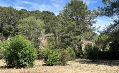 Land in Mougins, Provence-Alpes-Côte d'Azur, France 1