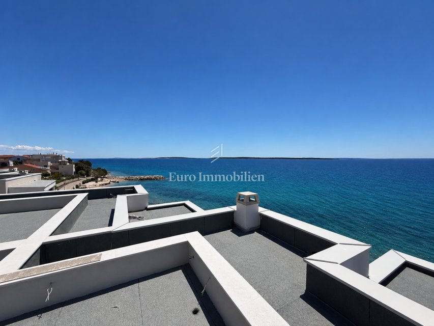 Apartment in Mandre, Croatia 1 - 17712513