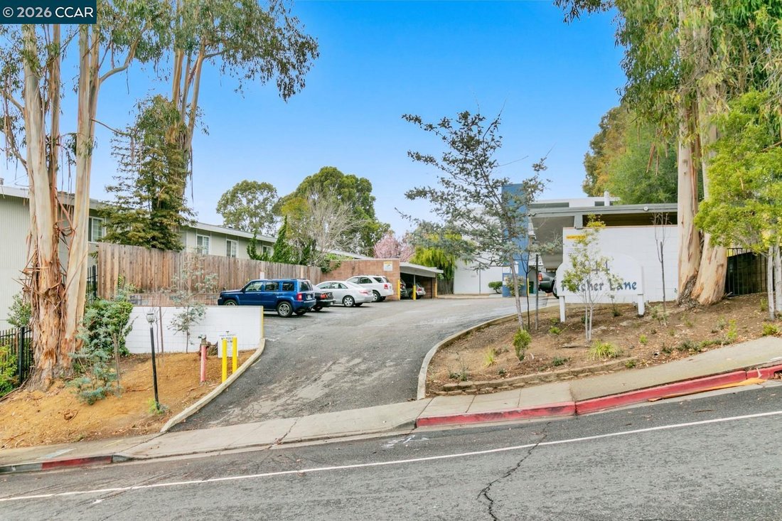 Hayward, California, United States 2 - 18037037