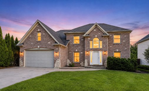 House in Addison, Illinois, United States 1