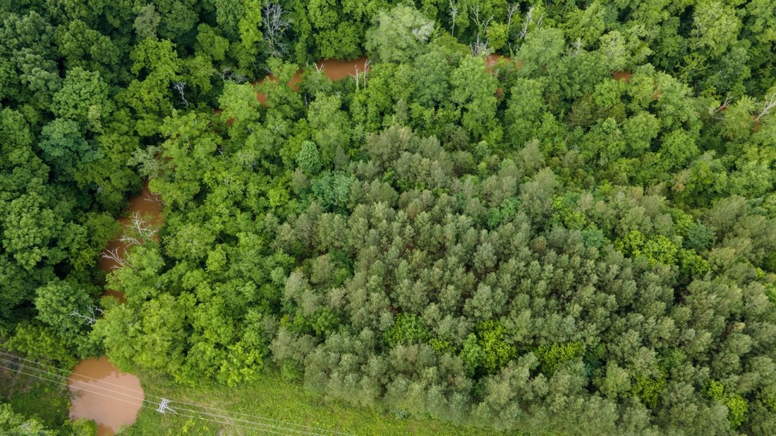 Land in Riceville, Tennessee, United States 3 - 18049535