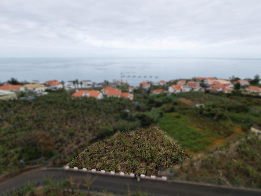 Arco da Calheta, Madeira, Portugal 2 - 18044085