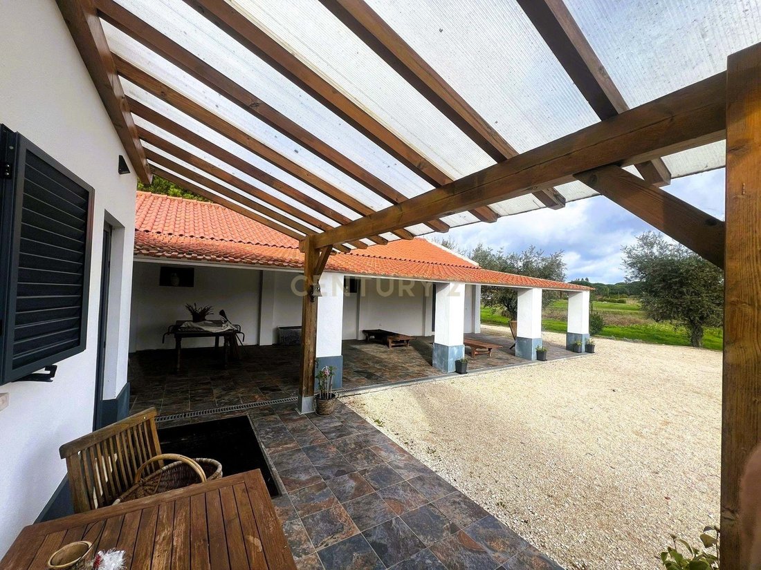 Farm Ranch in Branca, Santarem District, Portugal 4 - 18041238