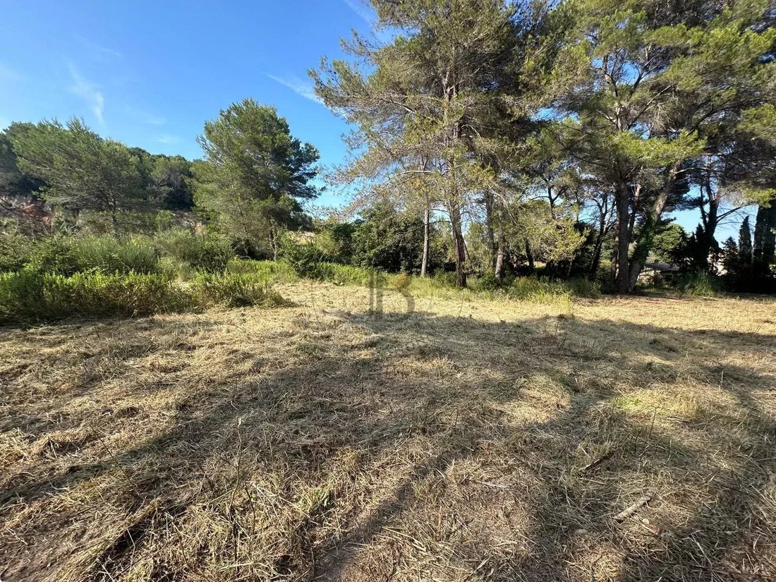 Land in Mougins, Provence-Alpes-Côte d'Azur, France 4 - 17501810