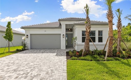 House in Naples, Florida, United States 1