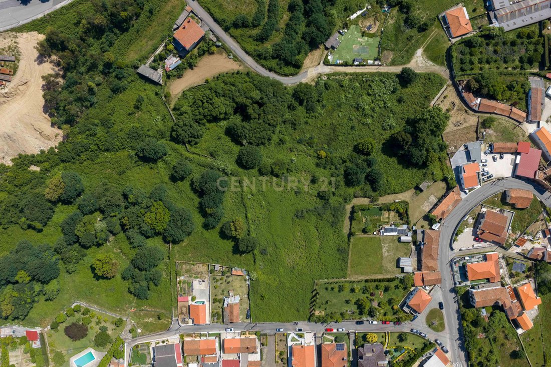 Farm Ranch in Oliveira de Azemeis, Santiago de Riba-Ul, Ul, Macinhata da Seixa e Madail, Aveiro District, Portugal 4 - 18051973
