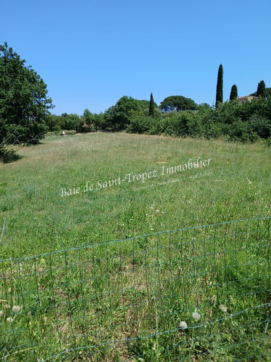 Grimaud, Provence-Alpes-Côte d'Azur, France 1 - 18042067