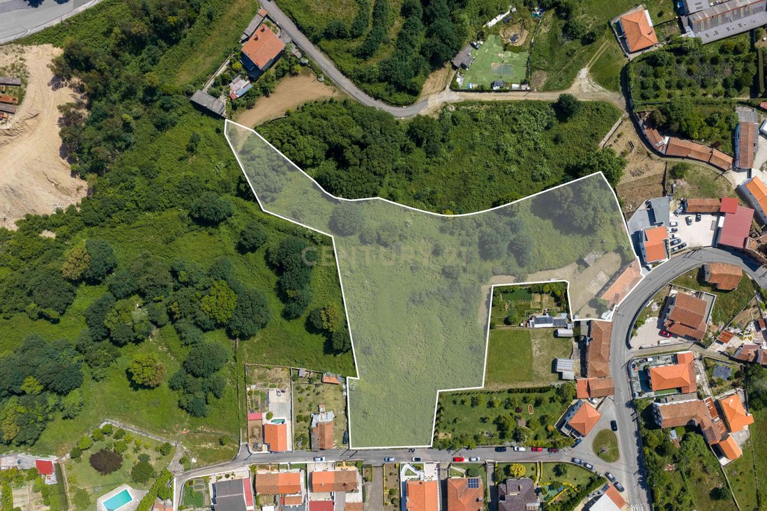 Farm Ranch in Oliveira de Azemeis, Santiago de Riba-Ul, Ul, Macinhata da Seixa e Madail, Aveiro District, Portugal 3 - 18051973