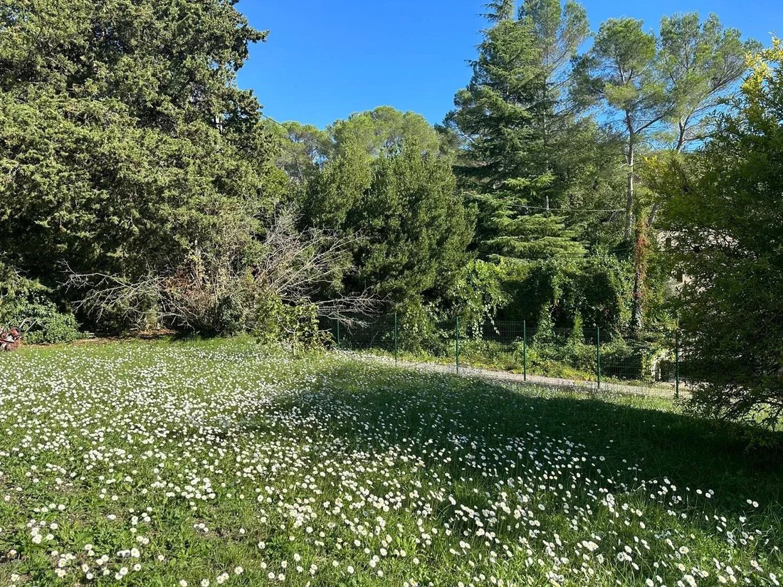 Land in Mougins, Provence-Alpes-Côte d'Azur, France 1 - 17357387