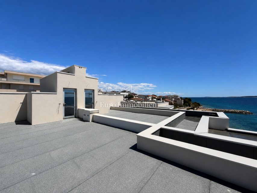 Apartment in Mandre, Croatia 1 - 17712518